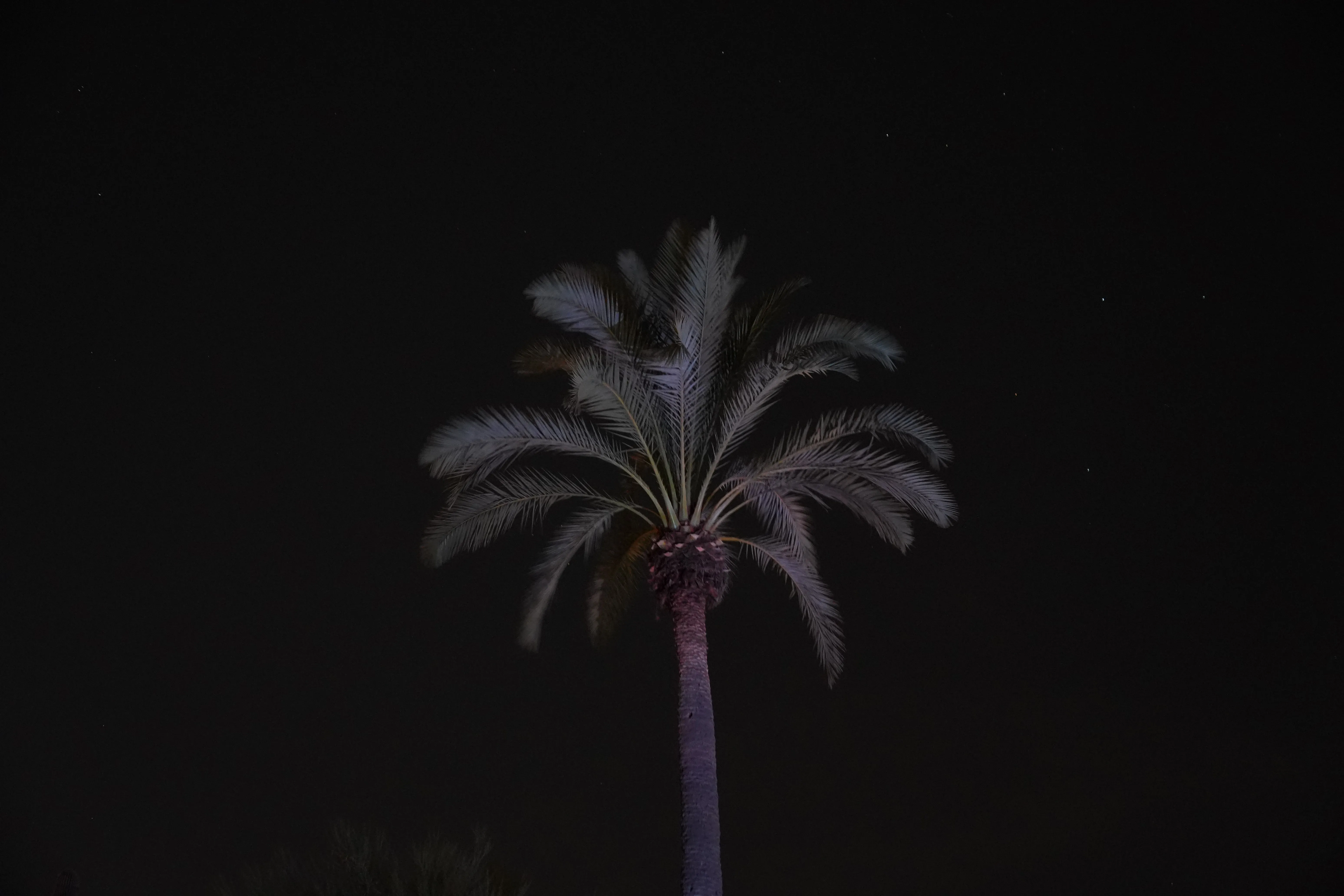 DSC01111.jpeg