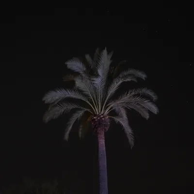 DSC01111.jpeg