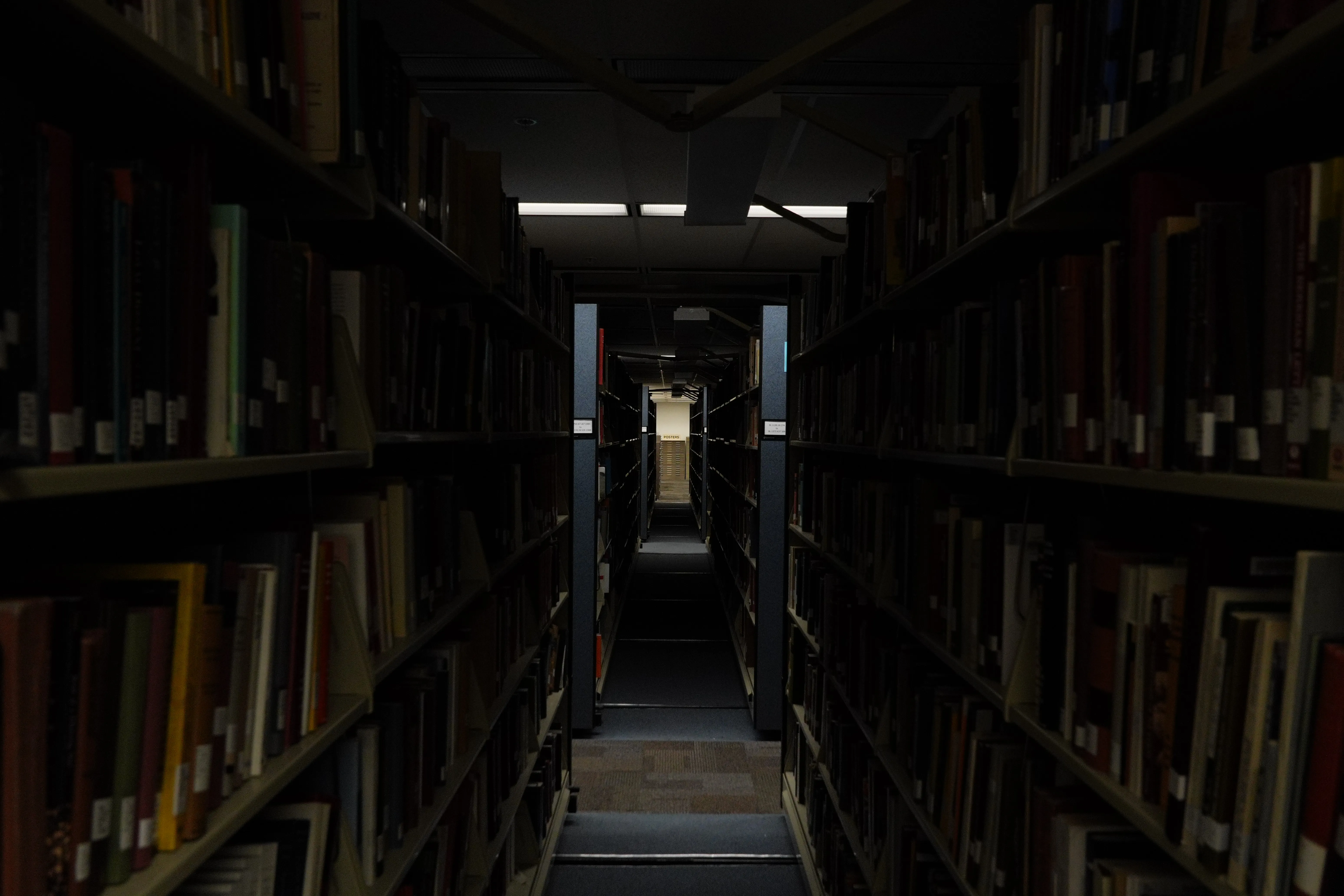 DSC01173.jpeg