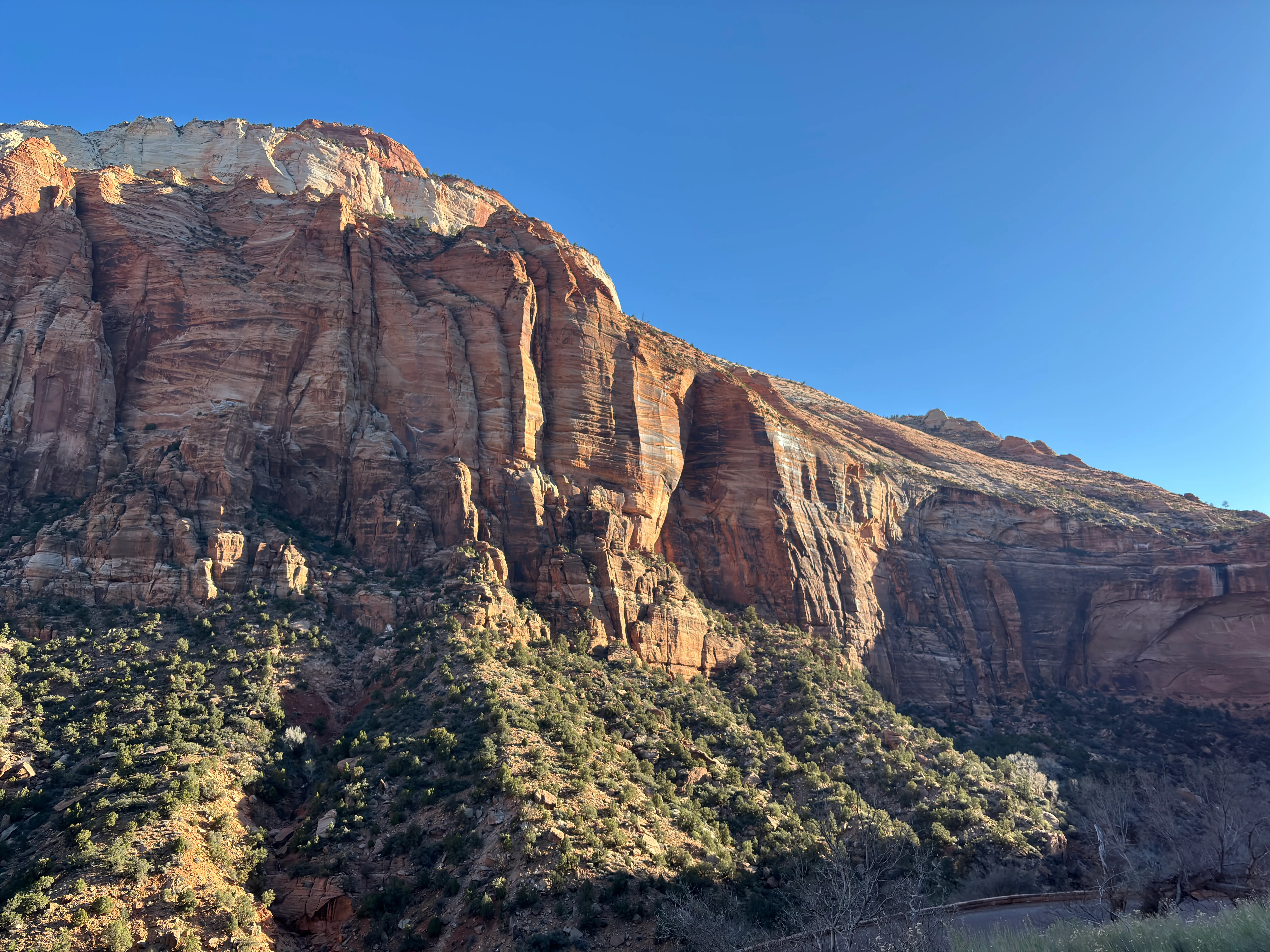 IMG_0184.jpeg